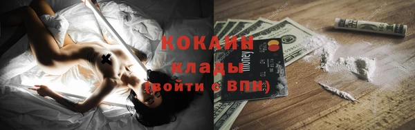ПСИЛОЦИБИНОВЫЕ ГРИБЫ Бородино