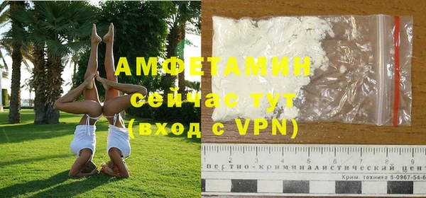 крисы Богородицк
