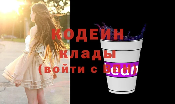 крисы Богородицк