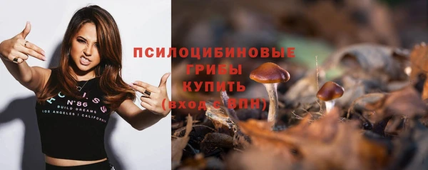 a pvp Богданович