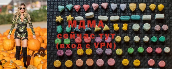 крисы Богородицк
