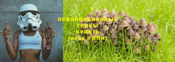 mdpv Богородск