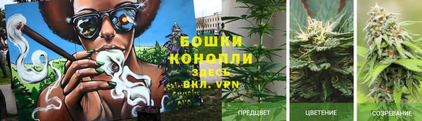 mdpv Богородск