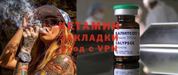 крисы Богородицк